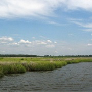 Chesapeake Bay, National Estuarine Research Reserve, Maryland