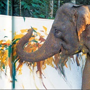 Paint With an Elephant
