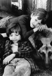 Elijah Wood and Joseph Mazzello in Radio Flyer (1992)