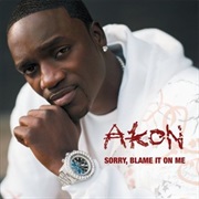 Sorry, Blame It on Me - Akon