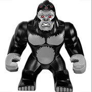 Grodd