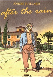 After the Rain (Andre Julliard)