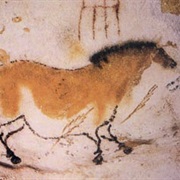 Dordogne - Cave Paintings of Montignac