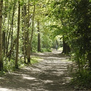 Petts Wood and Hawkwood