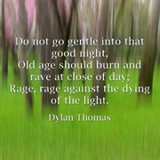 &quot;Do Not Go Gentle (Into That Good Night)&quot; by Dylan Thomas