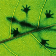 Find Out Which Inventions Have Been Copied From Nature