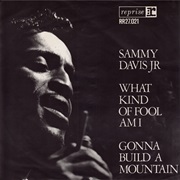 What Kind of Fool Am I - Sammy Davis, Jr.