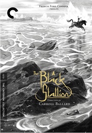The Black Stallion (1979)