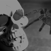 A Book That Scares You