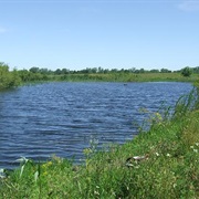 Henderson County State Fish and Wildlife Area, Illinois