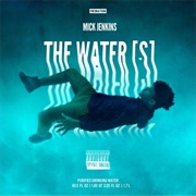 Mick Jenkins - The Water[S]