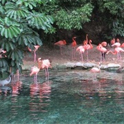 Jaragua National Park, Dominican Republic