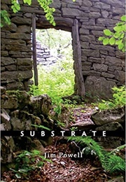 Substrate (Jim Powell)