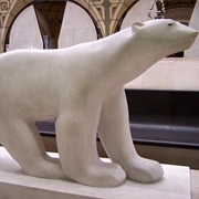 "Polar Bear" in Paris