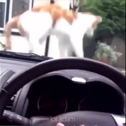 *Car Horn Honks Remix*