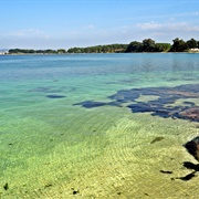 Illa a Toxa, O Grove