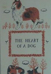 The Heart of a Dog