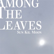 Sun Kil Moon - Among the Leaves