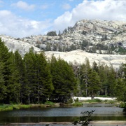 Stanislaus National Forest