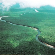 Orinoco River