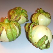 African Eggplant (Solanum MacRocarpon)