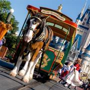Horse-Drawn Street Car