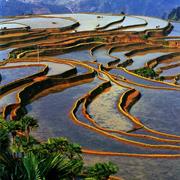 Cultural Landscape of Honghe Hani Rice Terraces