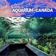 Ripley&#39;s Aquarium Toronto