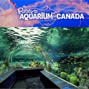 Ripley's Aquarium Toronto