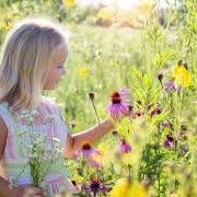 Collect Eatable  Plant