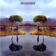 Bruce Dickinson - Skunkworks