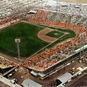 Colt Stadium Houston Texas
