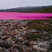 Vladislav Delay - Rakka