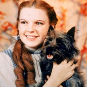 Judy Garland
