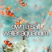 Own a Salt Water Aquarium