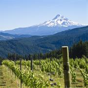 Willamette Valley, Oregon