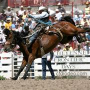 Frontier Days, Cheyenne, Wyoming