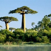 Madagascar, Malagasy Republic