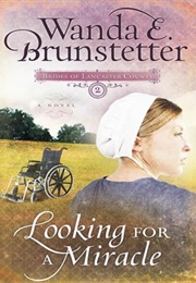 Looking for a Miracle (Wanda E. Brunstetter)