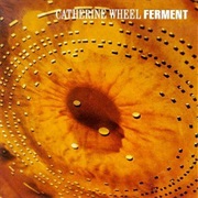 Catherine Wheel- Ferment