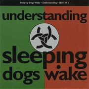 Sleeping Dogs Wake - Understanding