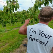 Orchards & Agritourism in Europe