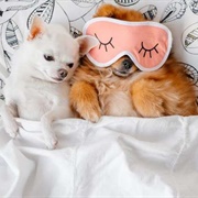 Get a Good Night's Sleep