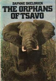 The Orphans of Tsavo