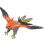 Talonflame