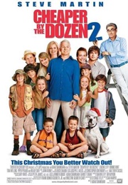 Cheaper by the Dozen 2 (2005)