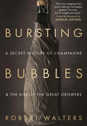 Bursting Bubbles (Robert Walters)