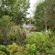 Mamiku Gardens, St Lucia