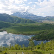 Gifford Pinchot National Forest
