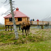 Alaska Wildlife Conservation Center